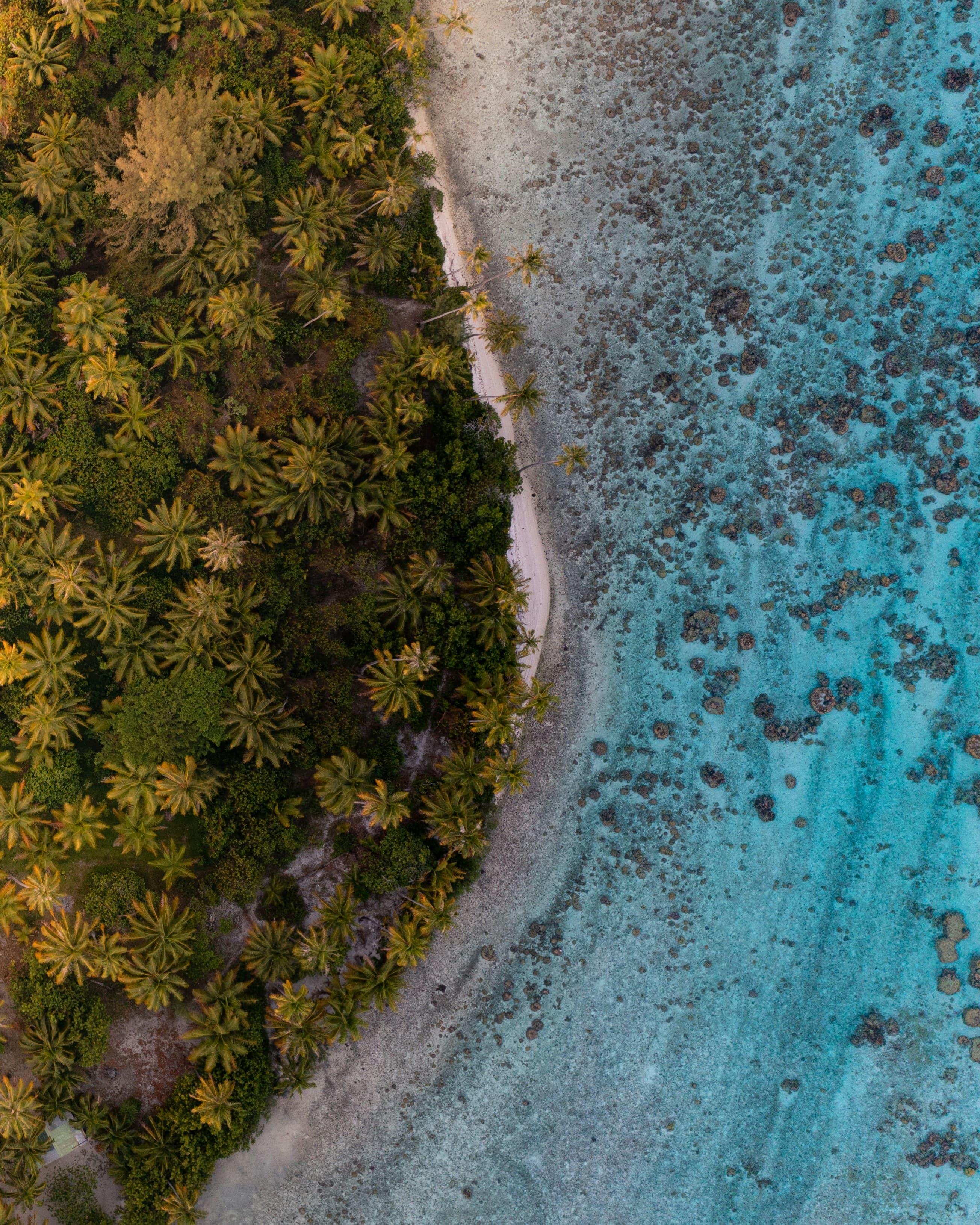 Vue aérienne tropicale de la Polynésie française