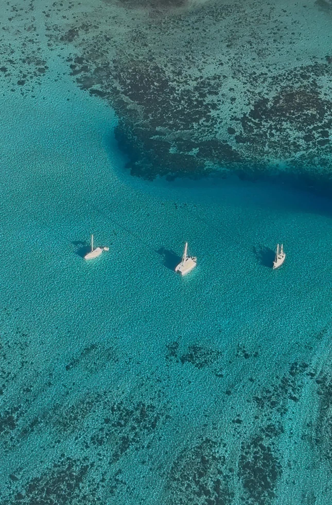 Catamaran sur le lagon de Tahiti